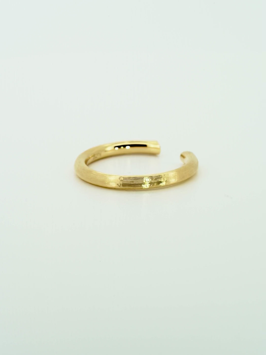 The Echo ring video
