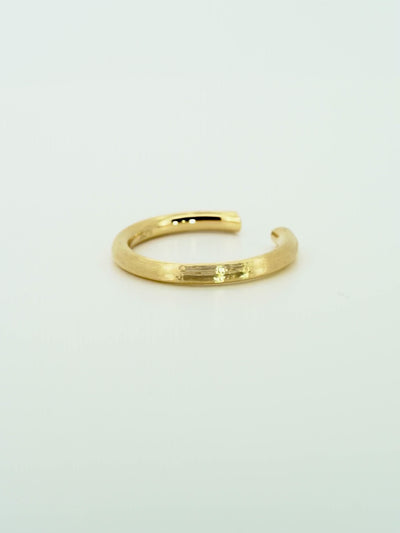 The Echo ring video